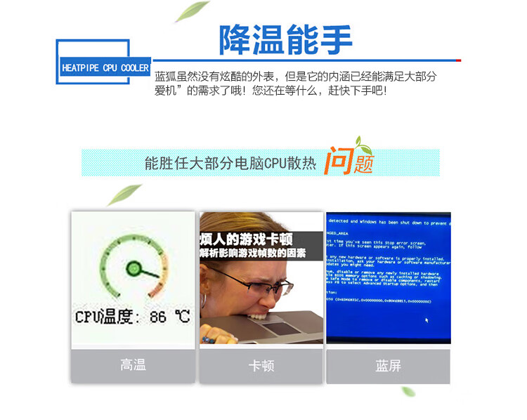 蓝狐_03.jpg