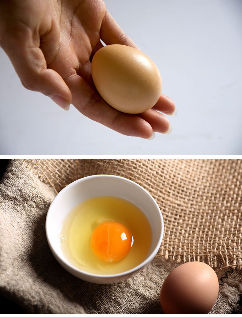 百年栗园 北京油鸡有机柴鸡蛋 30枚 鲜蛋礼盒 有机认证