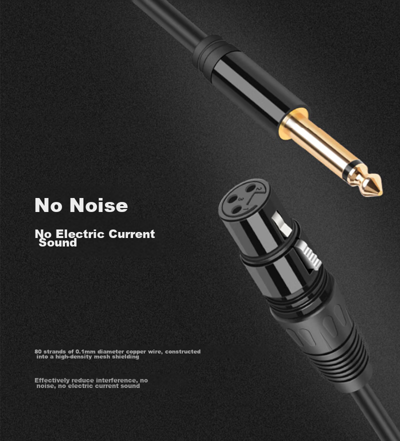 Beishanque 6.35mm to XLR Female Cable, Male to Female Audio Microphone Cable, Dual-Core XLR Single-Channel Connector for Microphone, Mixer, Speaker Amplifier Connection Cable, 5 Meters 8