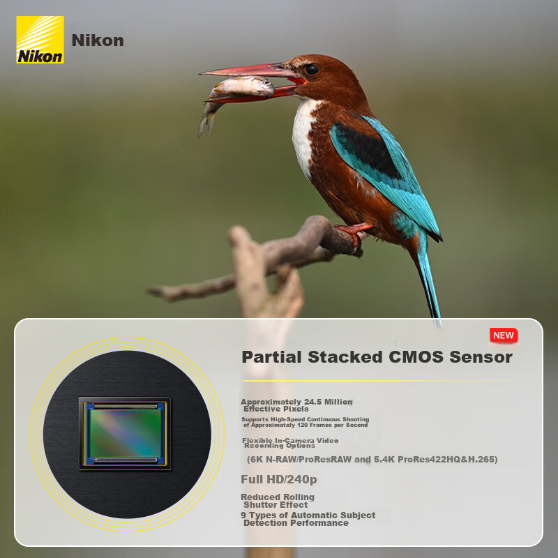Nikon Z6III Jiangsu Guangdong Shanghai Jilin Guangxi Address, 85% Full-Frame Mirrorless Camera, Partial Stacked CMOS, High-Definition Photography And Video, Z6 Third Generation, Z63
