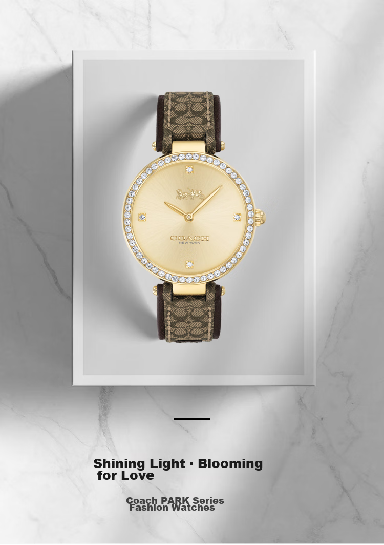 COACH PARK Series, Leather Strap Quartz Women's Watch, 14503456, Gift/giving 4