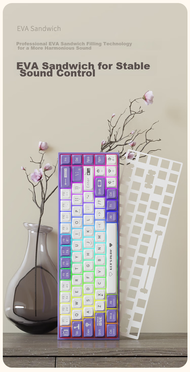 AJAZZ AK680 Wired Mechanical Keyboard, Dual-Color Keycaps, 68 Keys, Full Hot-Swappable, Customizable Mechanical Keyboard, Mixed Colorful Lighting Effects, Portable And Compact, Gray-White, Red Switches 7