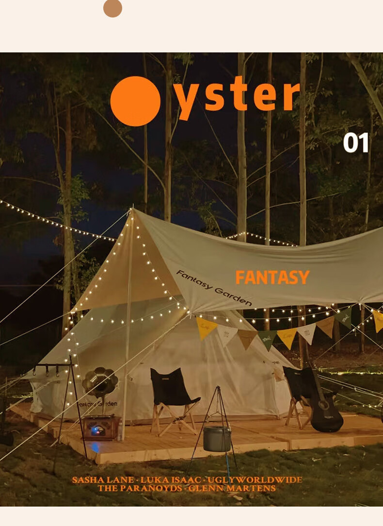 MOTIE LED String Lights for Outdoor Camping, Colorful Flashing Lights for Canopy Tent Decoration, 10 Meters Long with 80 Lights, USB And Battery Powered Options Available 3