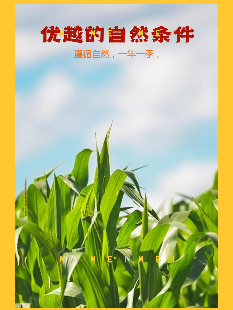详情图.png