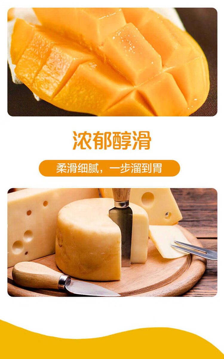 蒙牛 纯甄 轻酪乳芒果芝士味酸奶 230g*10瓶 小蛮腰瓶装 图2
