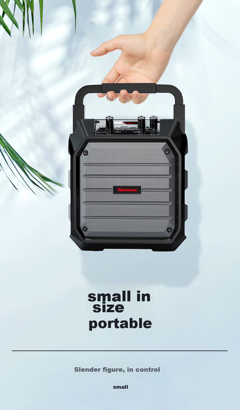 Newmine K220 Wireless Bluetooth Speaker, Square Dance Sound System, Outdoor High-Volume Portable Subwoofer, Home Karaoke Music Player, Street Vending Payment Loudspeaker, Single Microphone Versio 5