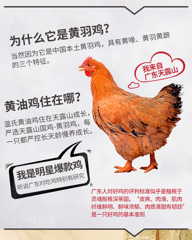 知名上市公司 温氏 供港黄油鸡 1.2kg*4件 图3