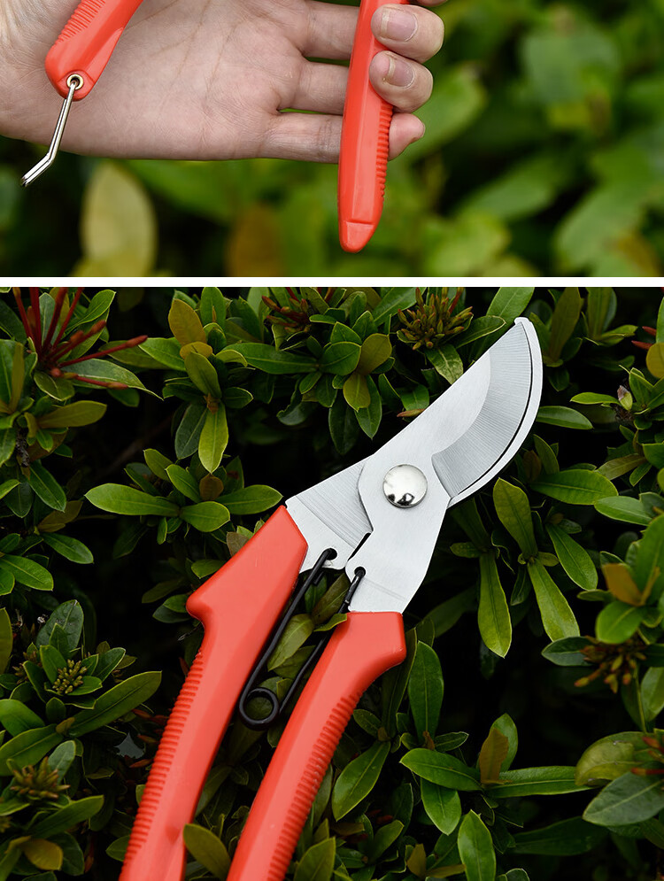 标康 修枝剪剪枝剪整枝剪 摘果花艺剪刀 修花插花 家用盆景园艺多功能
