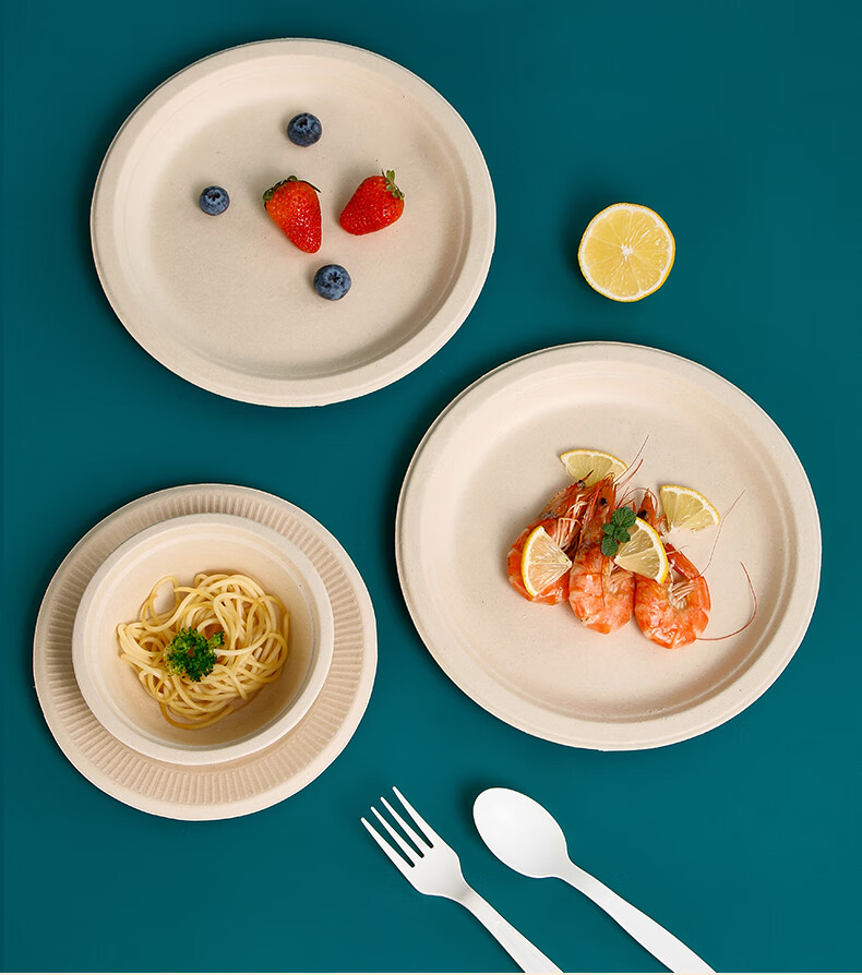 LANZIRAN Disposable Tableware Plates Large Size 9 Inch * 20 Pieces Natural Color Sugarcane Pulp Biodegradable Paper Plates for Picnic And Camping 7