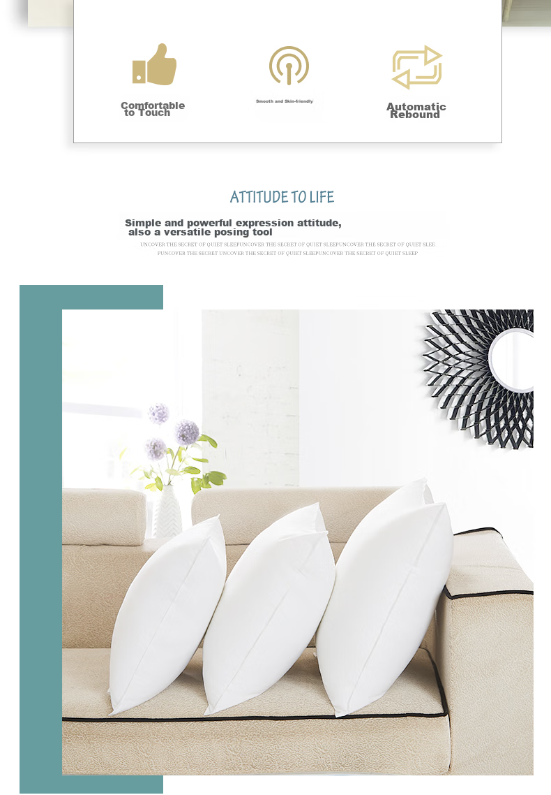Hengyuanxiang Pure Cotton Pillow Insert, Backrest Cushion, Square Sofa Pillow, 50*50cm 2