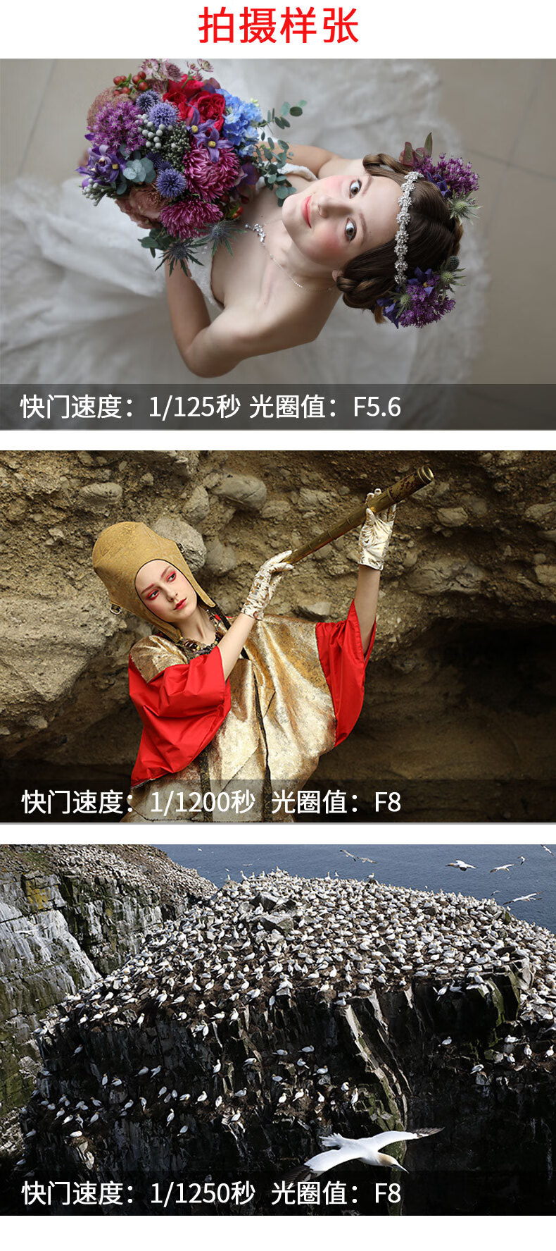 佳能（Canon） EF 24-105 F4 IS II USM二代标准变焦镜头 全画幅单反镜头拆机 官方标配【含遮光罩+收纳包】