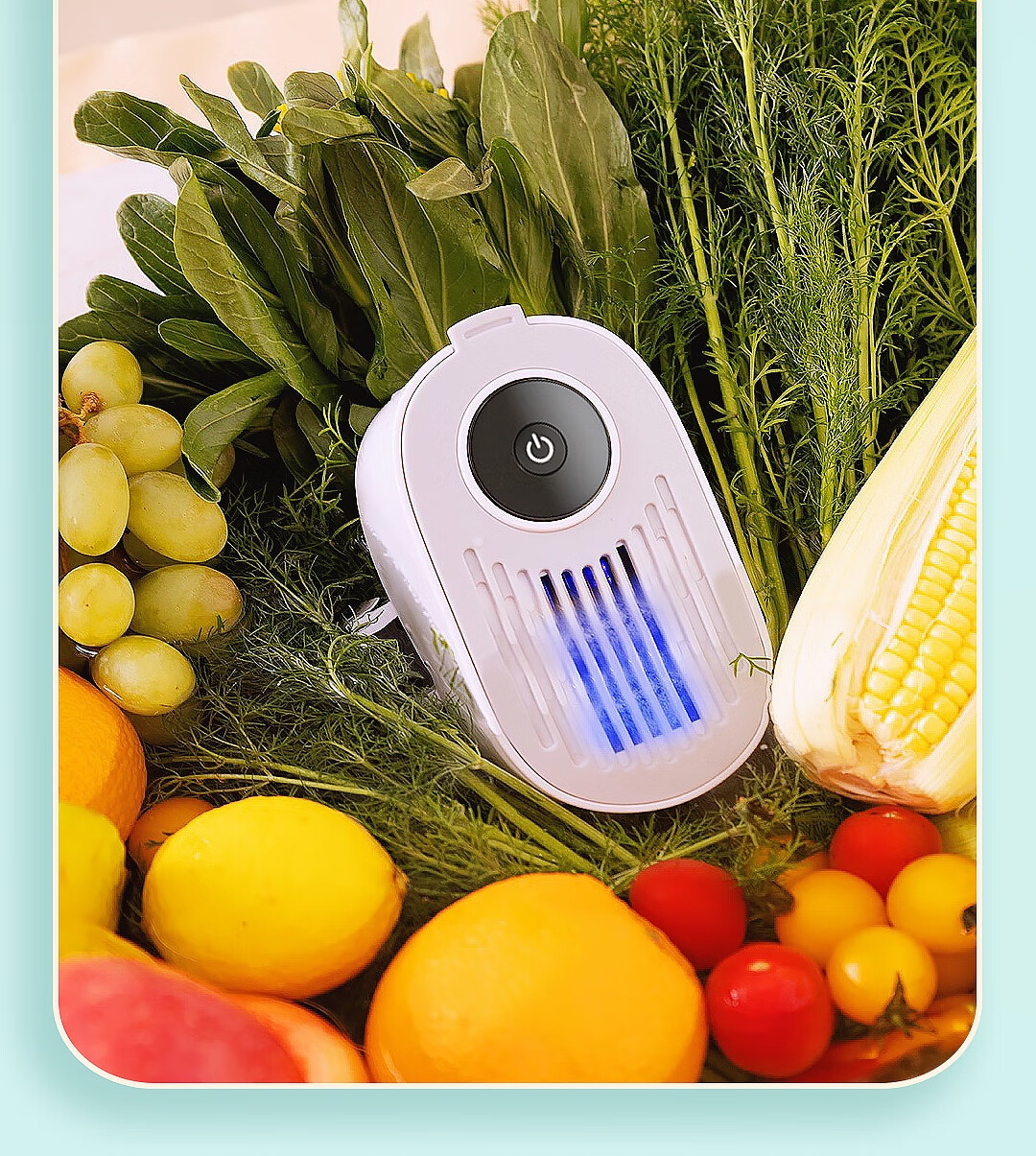 大宇(daewoo) 韩国大宇果蔬清洗机家用洗菜机蔬菜水果食材净化机器去