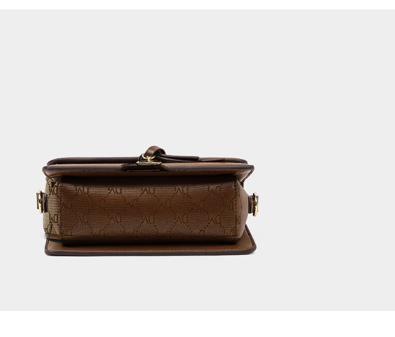 Aiqinghai Handbag, Women's Crossbody Bag, Shoulder Bag, Luxury Brand, High-End Small Square Bag, Birthday Mother's Day Gift, Practical Present for Mom 22