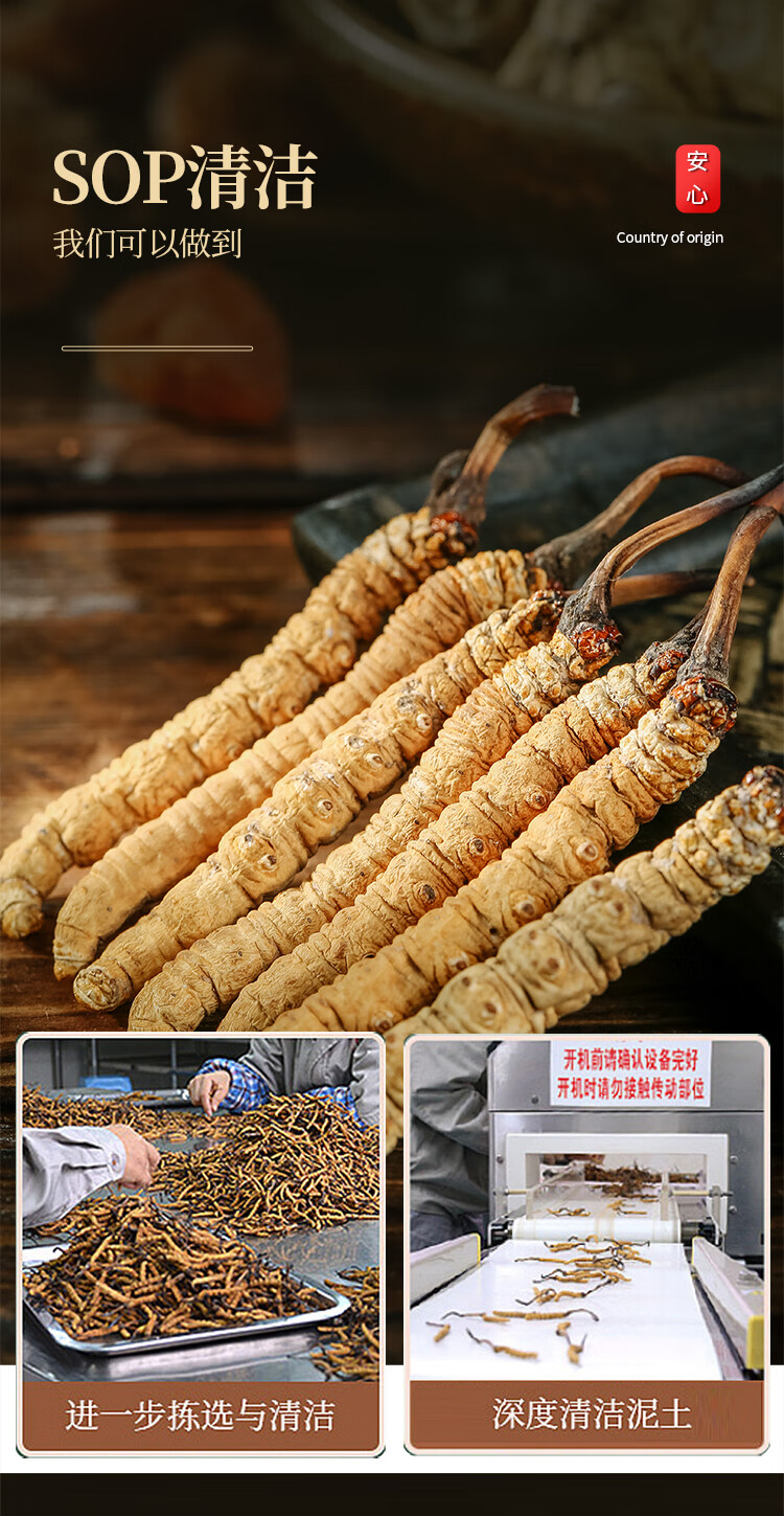 青源堂 冬虫夏草3条/g 精选品质无断草高洁净饱满冻干虫草1g装