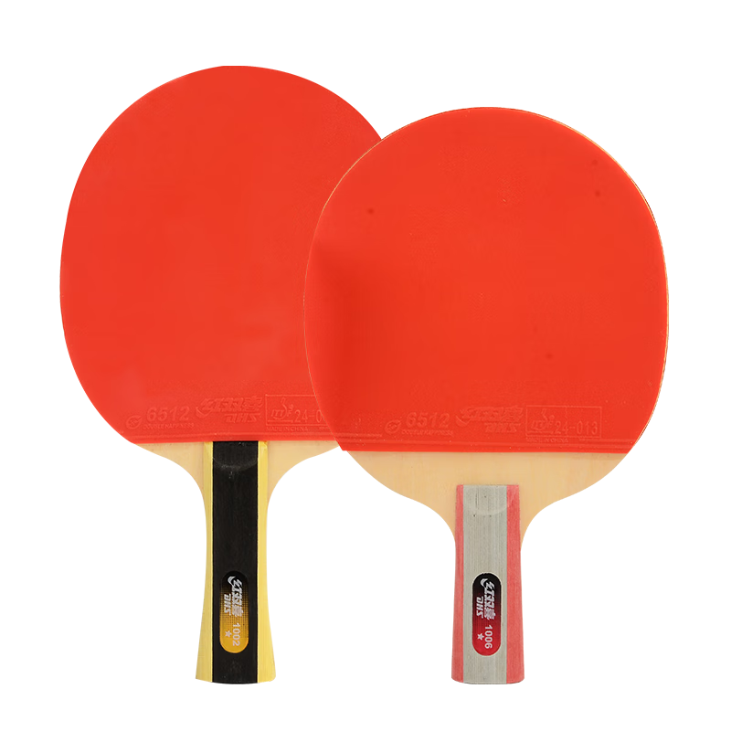 DHS One-Star Horizontal And Vertical Table Tennis Racket (Fast Delivery from Beijing Warehouse + Racket Cover), F1 Horizontal And Vertical Double Rackets
