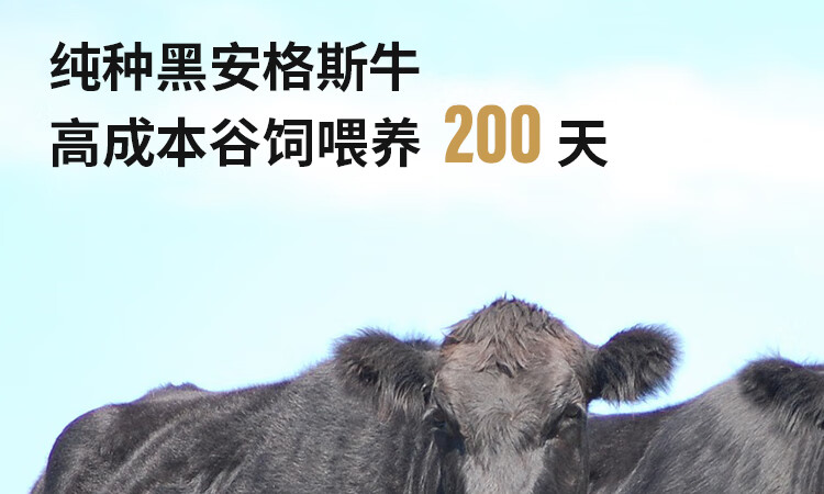 38377-【抢!京东秒杀】华牧鲜 加拿大进口AAA级原切谷饲雪花牛排套餐 厚切200g/份 安格斯牛肉生鲜 AAA级牛排8片装 1.6kg-详情图