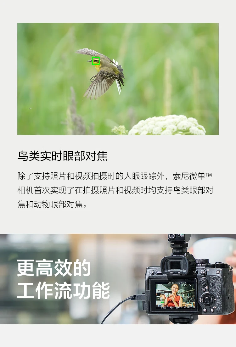 Sony SONYILCE-A7M4 full-frame mirrorless digital camera single body about 33 million effective pixels 4K video recording Alpha 7 IV Sony SONYILCE-A7M4 full-frame mirrorless digital camera single body about 33 million effective pixels 4K video recording Alpha 7 IV