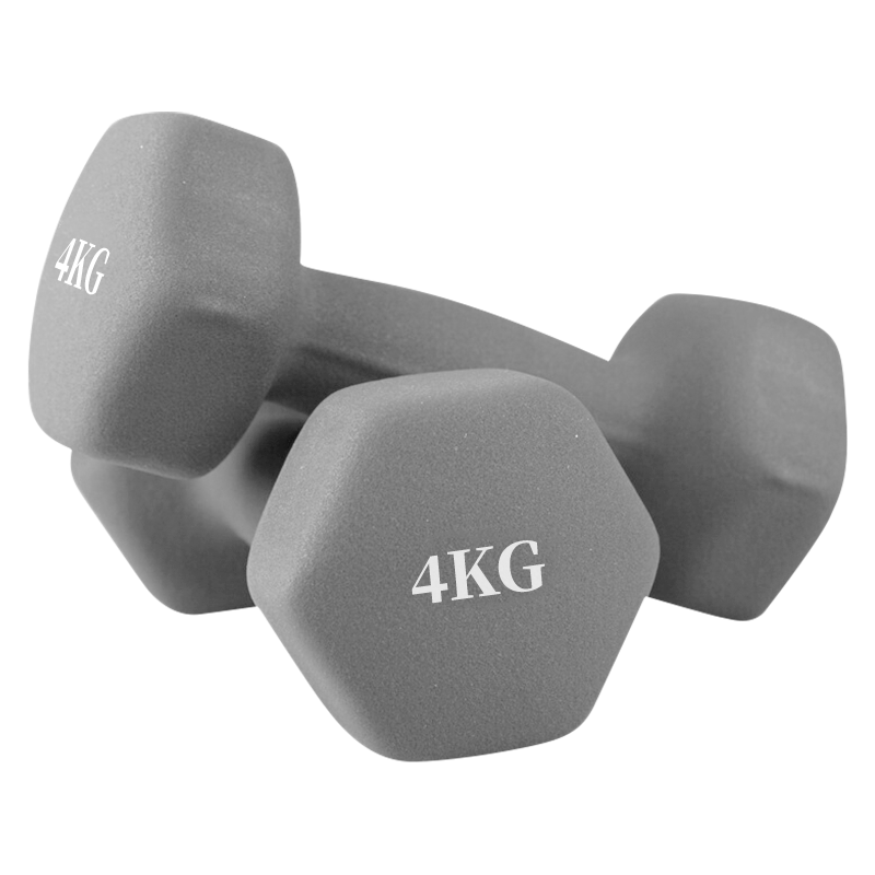 Chengyue Color-Coated Dumbbells for Men And Women, Home Fitness Shaping Equipment Set, 4kg*2 Gray CY-528