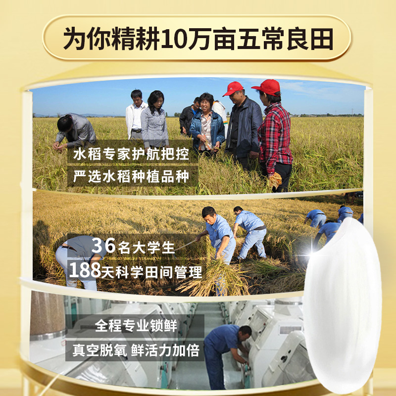 龙稻【绿色 五常大米】10斤 当季新米 稻花香2号东北正宗家庭装长粒香