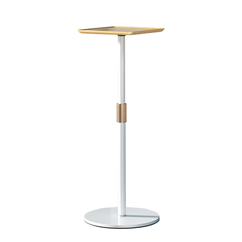KUAIDUOXIAOWU Projector Stand, 10KG Heavy-Duty Tray Model, Floor-Standing Support for Home And Office Use, Compatible with XGIMI, Jmgo, Dangbei And Other Brands