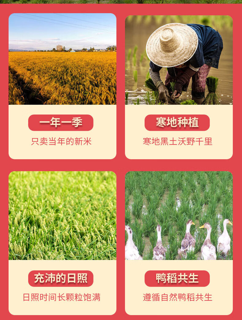 详情图.png