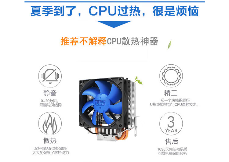 蓝狐_02.jpg