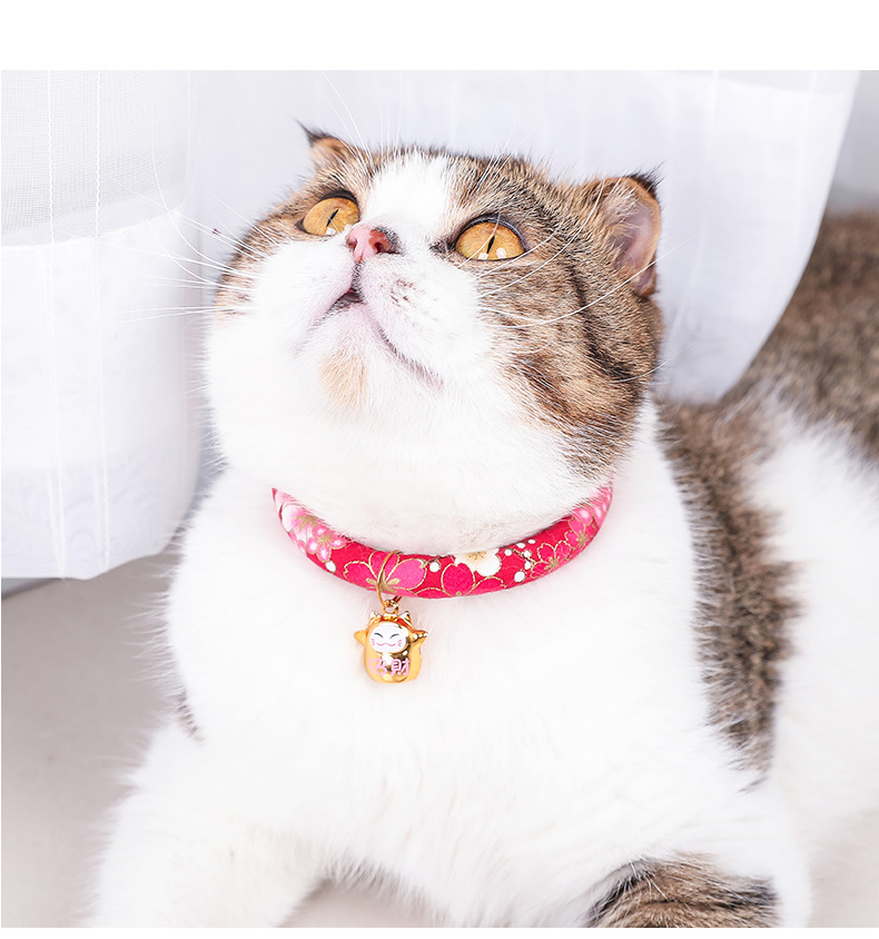 猫项圈_09.jpg