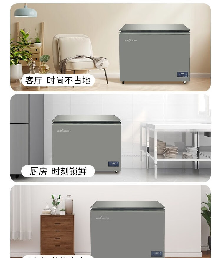 穗凌冷柜|穗凌|东骏冷柜|东骏