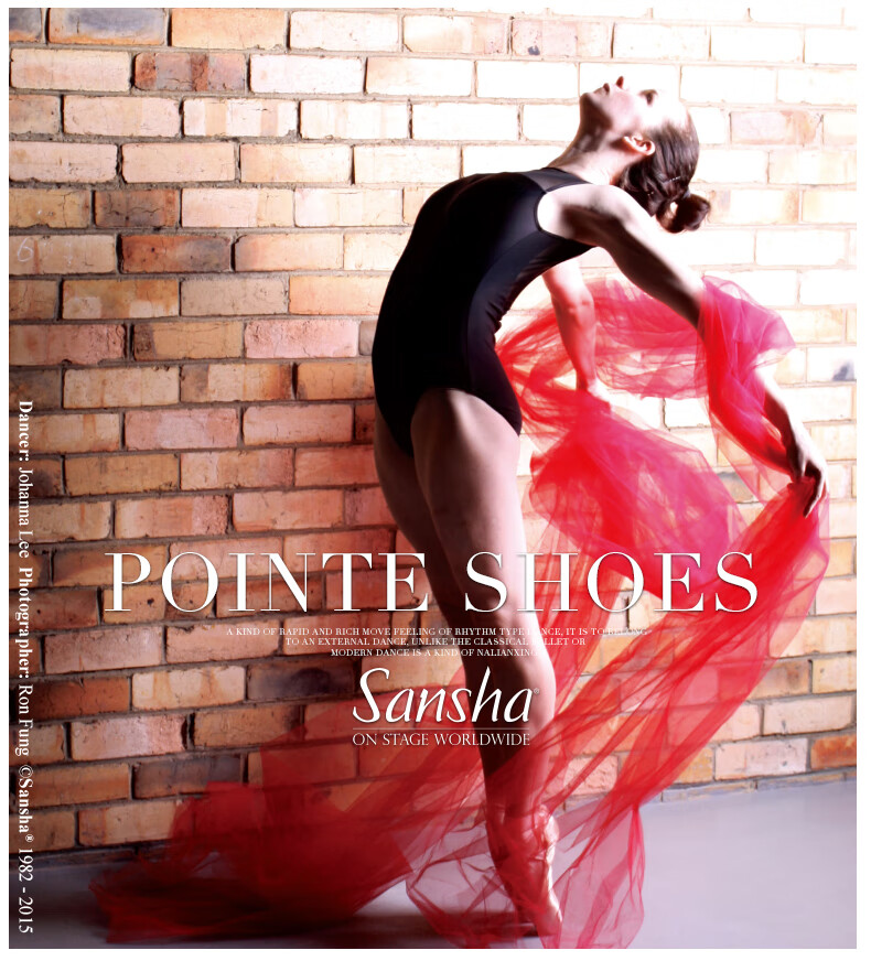 Sansha Ballet Pointe Shoes, Satin Upper, Leather Sole, Dance Shoes, Hard Shoes, Practice Shoes, FRD1.0REG, Satin, Size 39 1