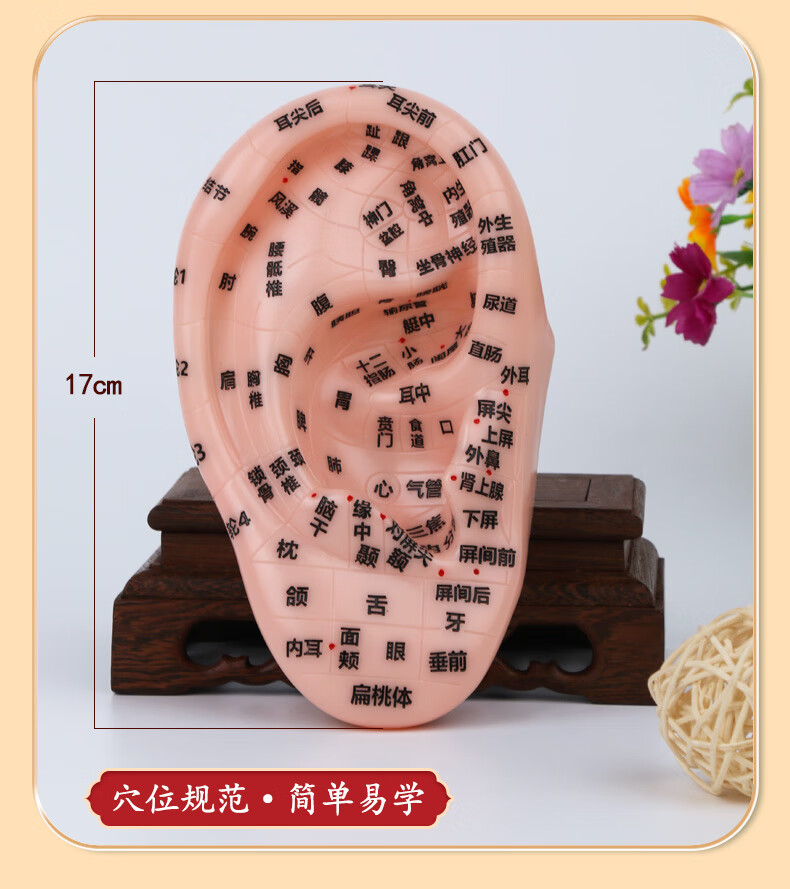 高博士 王不留行籽耳贴耳穴压豆贴耳豆贴耳穴按摩贴耳穴位按压敷贴耳