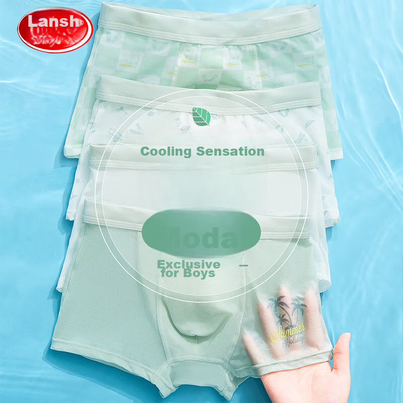 LangSha Children's Underwear, Boys' Underwear, Youth Modal Antibacterial Crotch Underwear, Middle School Students' Shorts, Baby Shorts, 4-Pack