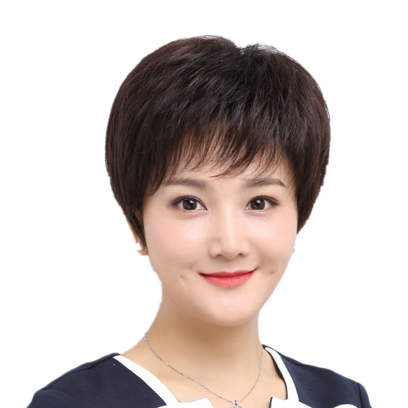 Baisitang Women's Short Wig Full Head Cover Short Straight Hair for Middle-Aged And Elderly Mothers, One-Size Wig Made of Real Hair (Dark Brown)