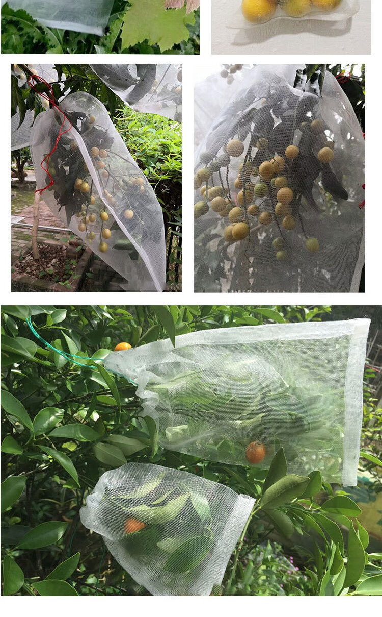 Haisidike HK-5103 [Beijing Warehouse Delivery] Nylon Mesh Bag, Insect-Proof Screen Bag, Seed Bag, Rice Breeding Bag, Nylon Bag, Gauze Bag, 40 Mesh, 75*55cm (10 Pieces/unit) 7