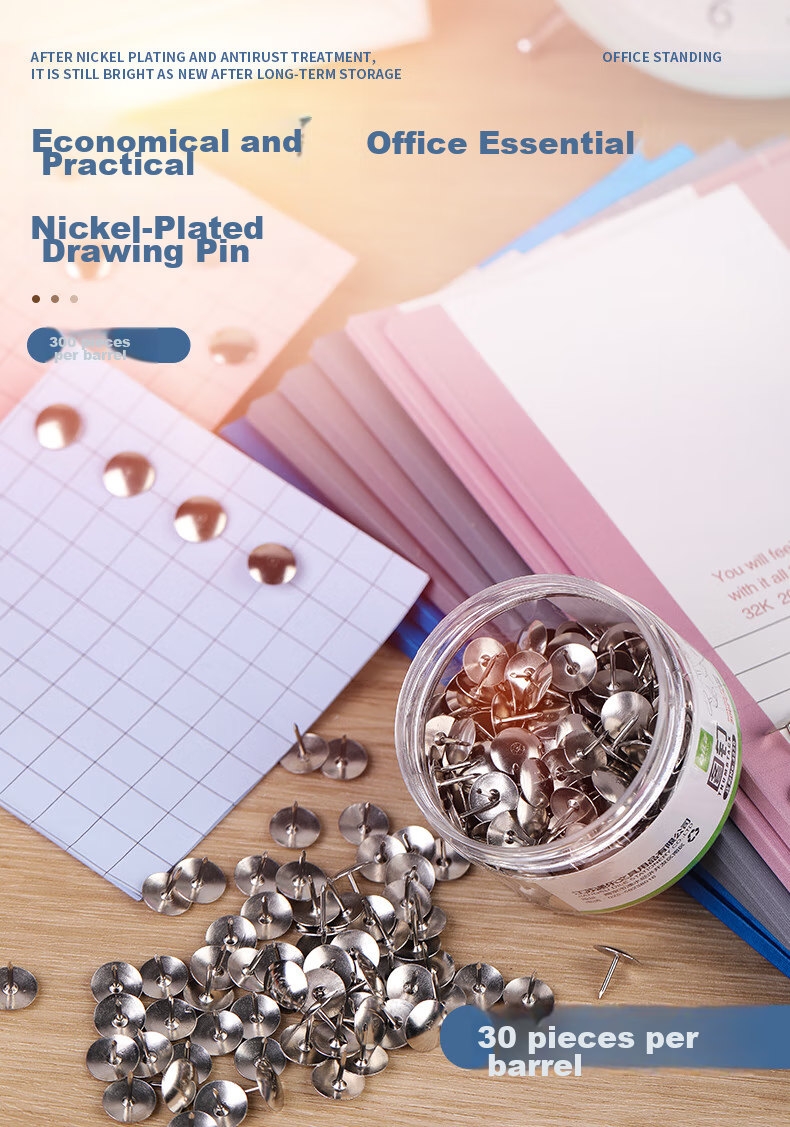 DiLe Premium Series Metal Pushpins, Round Drawing Pins, Cork Board Tacks, Large Head Nails, Wall Nails, Office Supplies, Pushpins 300 Pieces/tube 2220 1