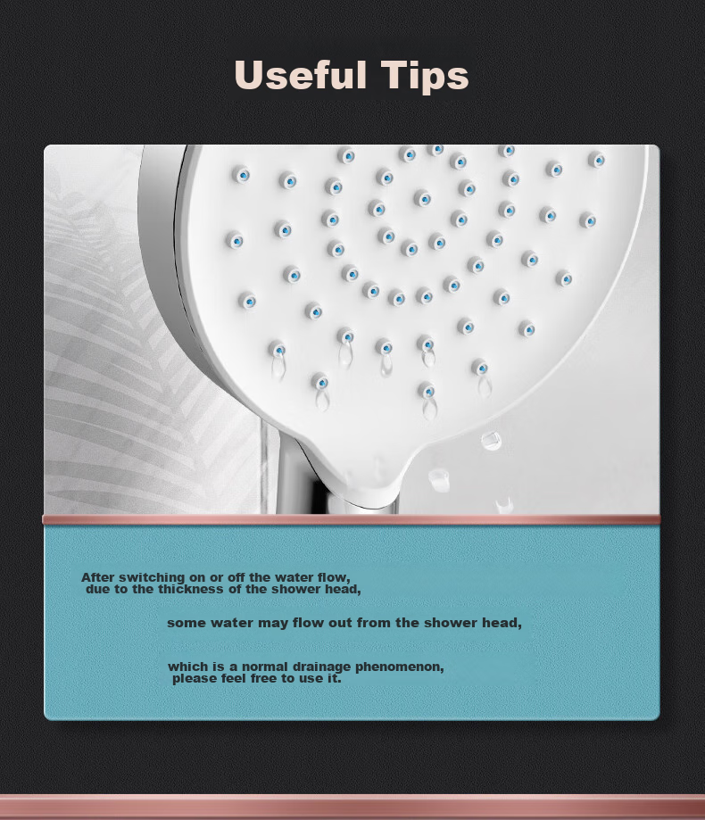 ARROW Self-Cleaning Pressure-Boosting Handheld Shower Head AE5893CP 16