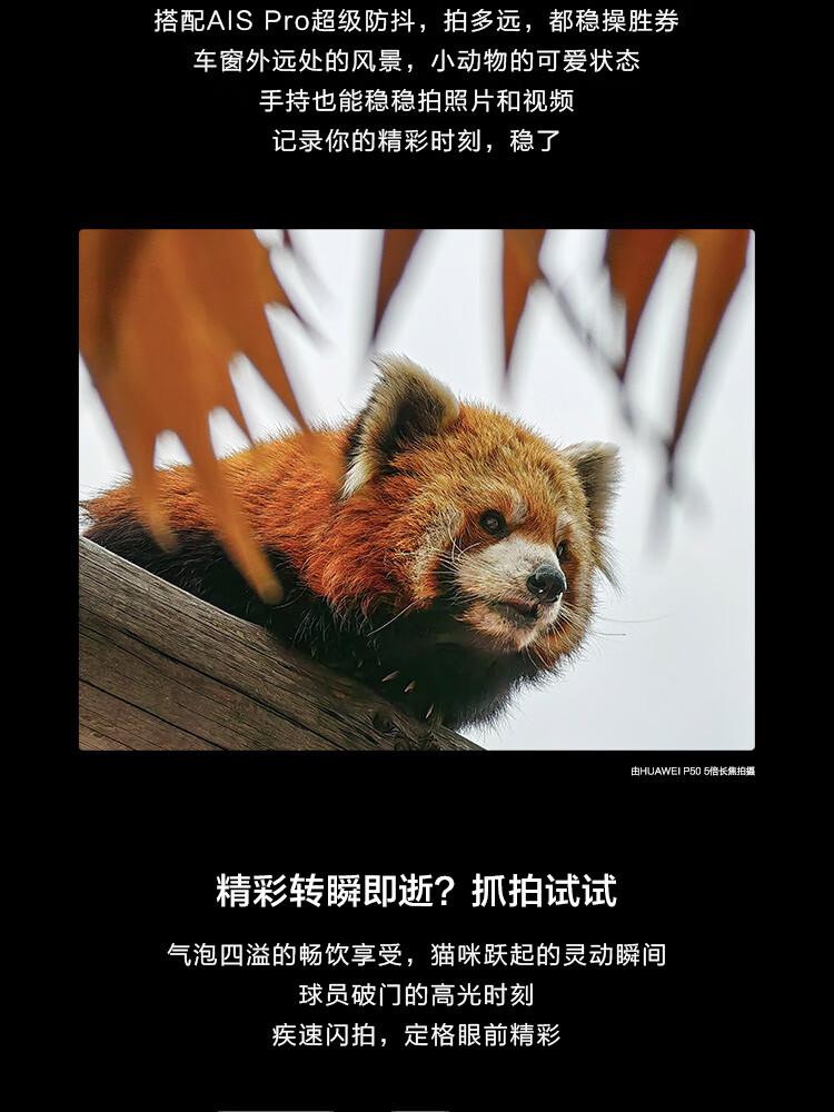 10点08抢 HUAWEI 华为 P50 4G智能手机 8GB+128GB 图9