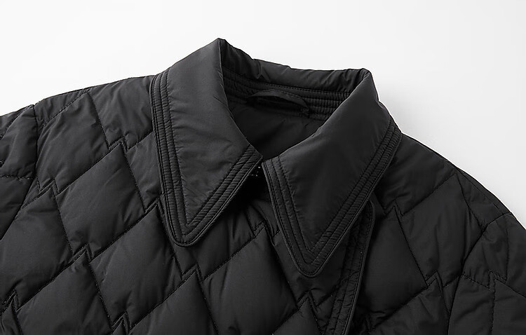 Dme [Warm And Cozy] Winter Lightweight Fluffy 90% Duck down Jacket with Elegant Lapel Collar And Short Style Women's Coat 6