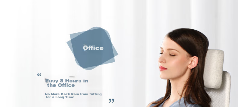 Back2 Lumbar Support Cushion for Office, Ergonomic Back Pillow, Long-Sitting Aid, Car Seat Cushion, Waist Pillow 42
