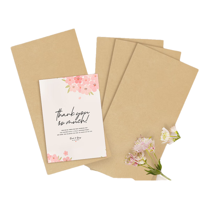 SIMAA 100 Sheets No.5 Blank Kraft Paper Envelopes, 220*110mm Document Folders, File Folders, Invoice And Payroll Envelopes, 25075