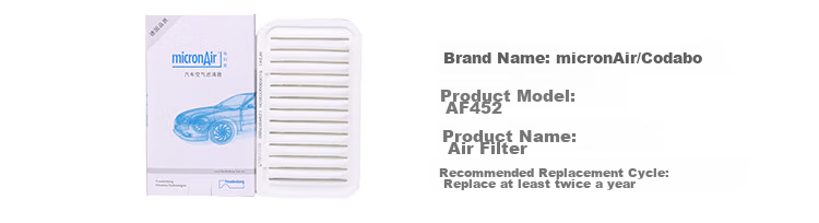 MICRONAIR Air Filter Element AF452 Suitable for (10 Lexus RX350/RX450/Hanlada 2.0T/3.5L Models) 3