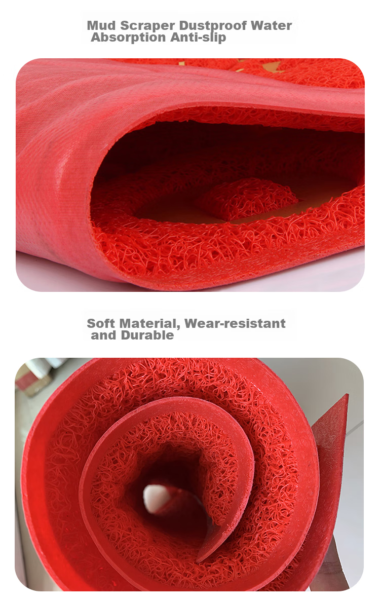 DIYIN Safe Entry And Exit Doormat Ingot 80*120cm, Entrance Floor Mat, Doorway Foot Mat, Silk Loop Welcome Non-Slip Mat 11