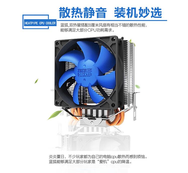 蓝狐_01.jpg