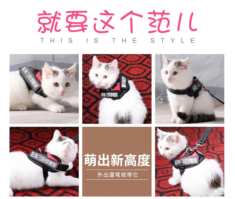 猫绳_03.jpg