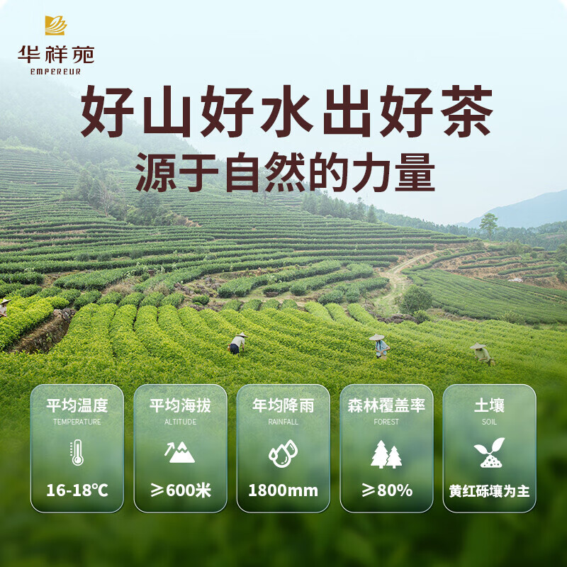 华祥苑茶叶 白毫银针福鼎白茶小罐装茶叶礼盒特级礼送礼100g