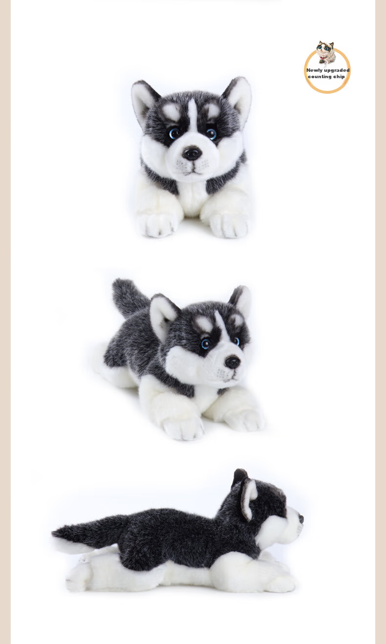 CUMATE Maljisi Dog Plush Toy Doll Stuffed Animal Birthday Gift for Children, Girls, Girlfriend, And Wome 13