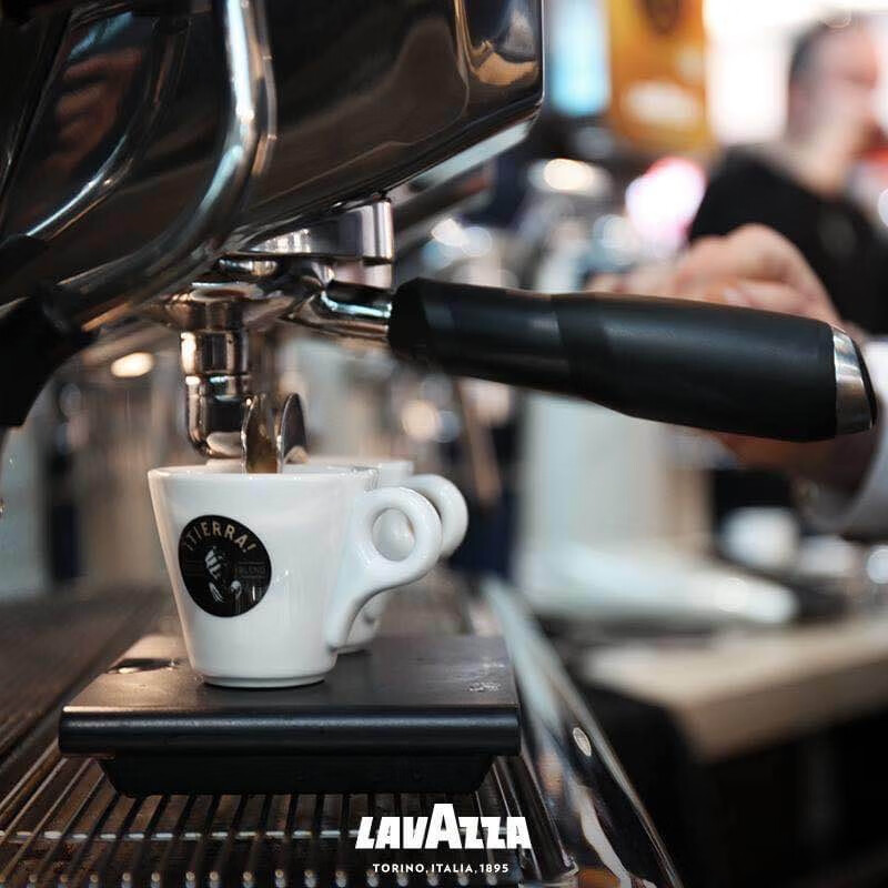 拉瓦萨（LAVAZZA）意大利大地系列咖啡豆雨林联盟认证 大地特醇精选咖啡豆1kg