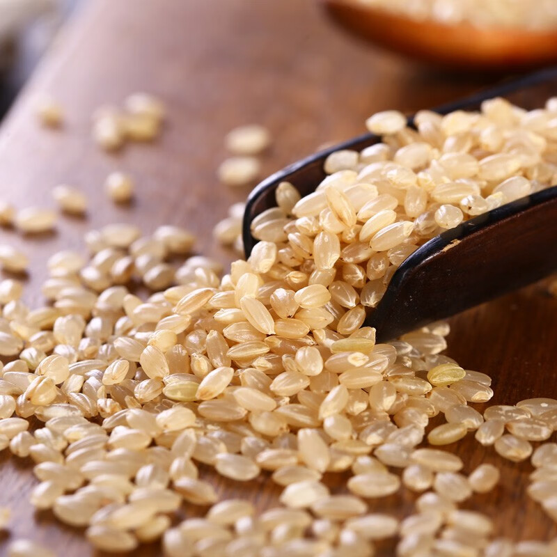 格琳诺尔 有机糙米1斤（五谷杂粮 粗粮 真空装  大米 粥米伴侣）