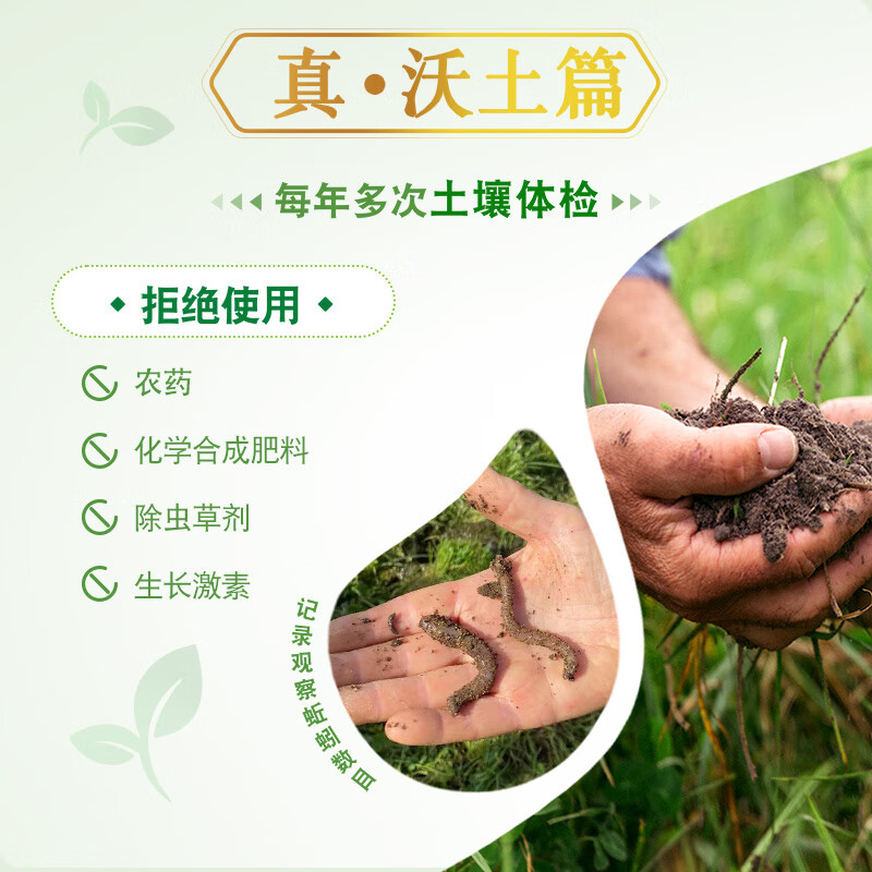 安佳（Anchor）珍稀有机4.4g蛋白质全脂牛奶250ml*15盒新西兰草饲牛奶礼盒