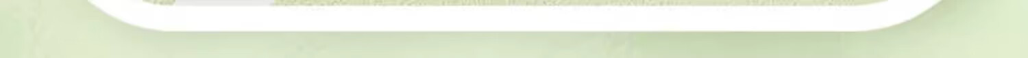 Li-Ning PZ40 Professional Outdoor Injection Molded Pickleball, 40 Holes, Green Color, for Competition Use 14