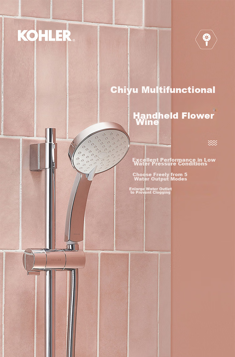 KOHLER Handheld Shower Head, Single Spray [Five Functions], K-30251T Silver 3